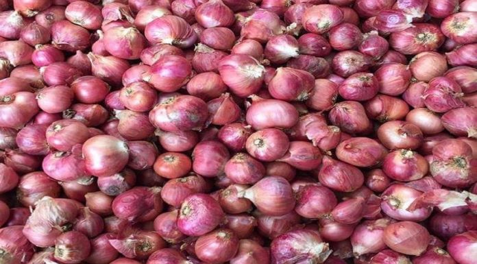 Chennai small onion