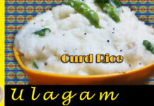 Curd Rice in Tamil