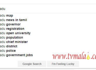 Google Browsing History-How to delete fully?