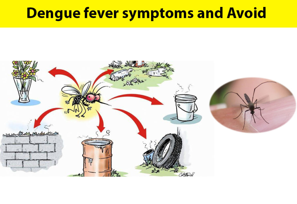 dengue fever symptoms in kids and adults