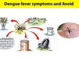 dengue fever avoid