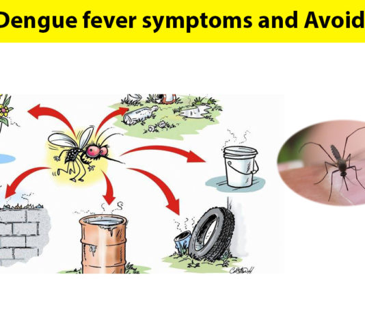 dengue fever avoid