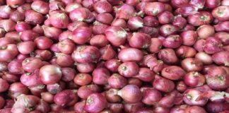 Chennai small onion
