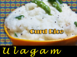 Curd Rice in Tamil