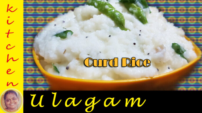 Curd Rice in Tamil